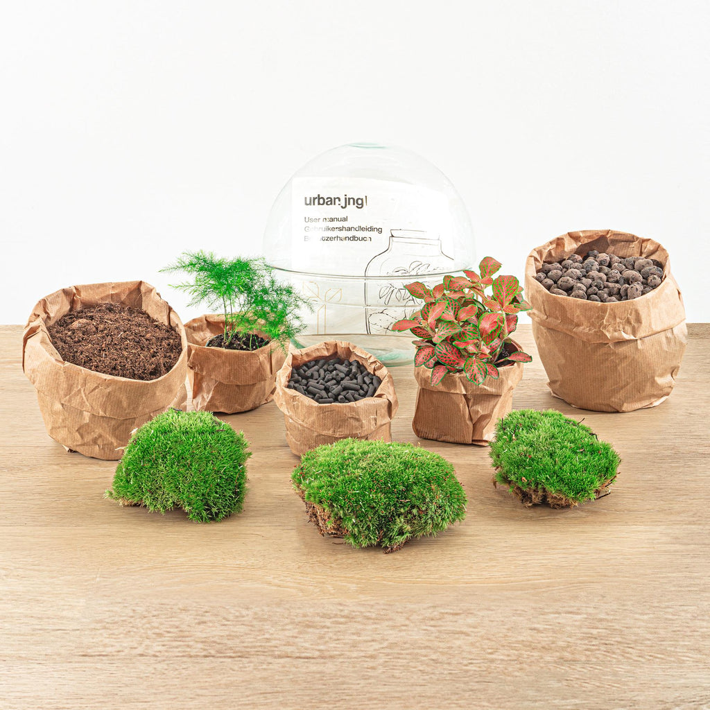 Productafbeelding van Pureplant