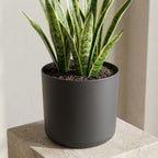 Elho b.for soft bloempot, antraciet, mat fluweelzacht, 22 cm, groene bladeren