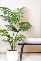 Productafbeelding van Pureplant