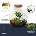 Productafbeelding van Pureplant