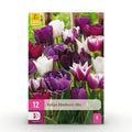 Tulp Blueberry mix, detail van het blad