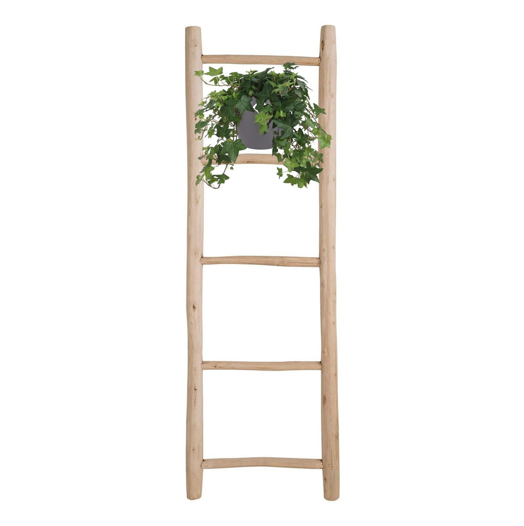 Detailfoto van Hedera Helix Groen - Hangpot Wit / Basic