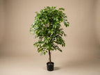 Ficus Deluxe Vine Kunstboom, detail van het blad