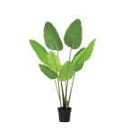 Kunstplant - Strelitzia Nicolai, detail van het blad