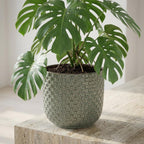 Mini plantenpot met reliëf, keramiek in groen, Ø7 cm, groene bladeren