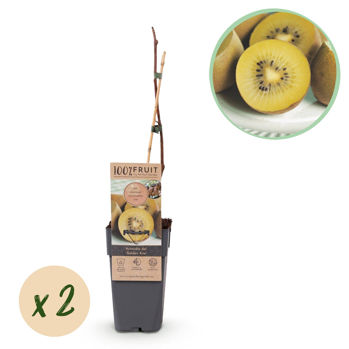 Productafbeelding van Pureplant