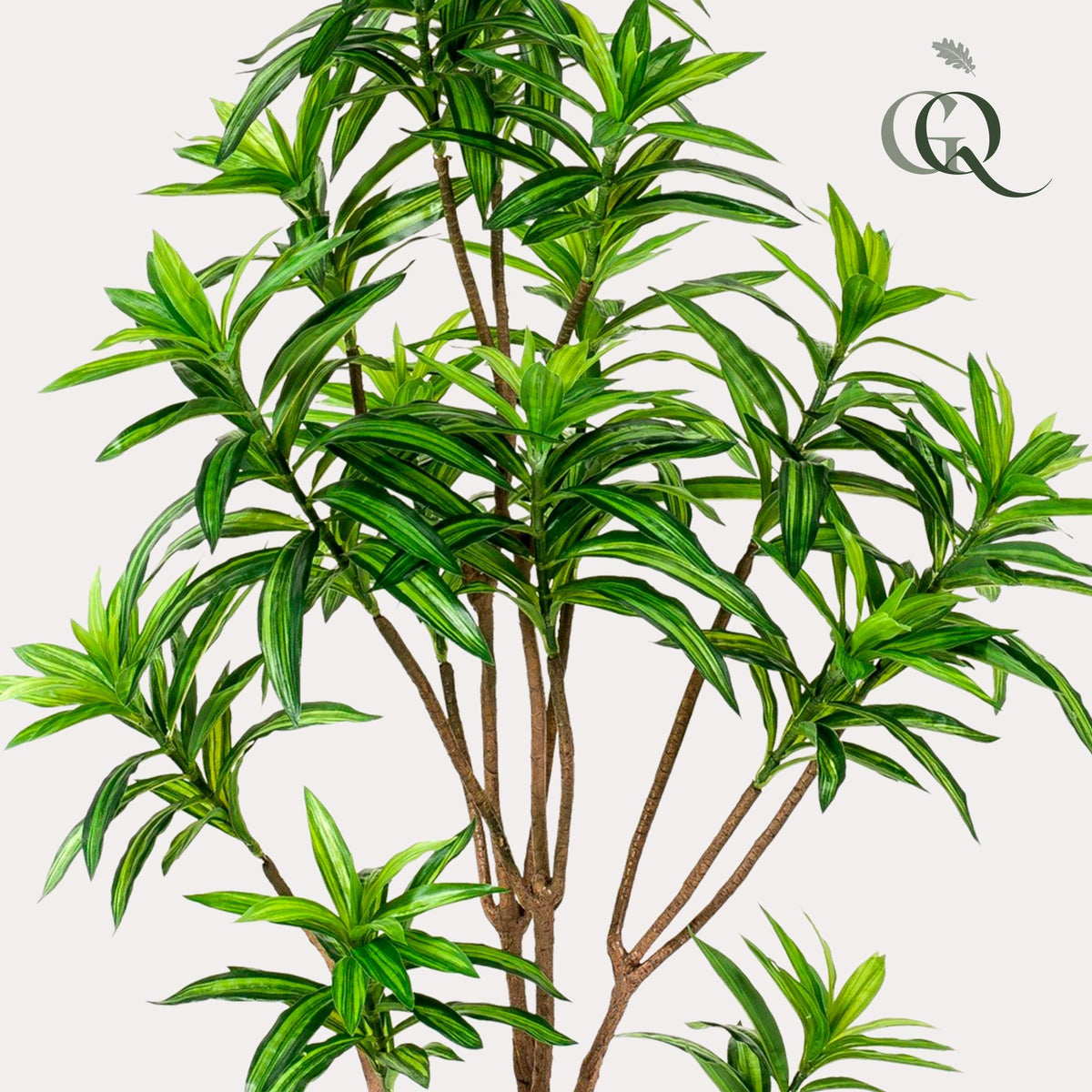 Productafbeelding van Pureplant