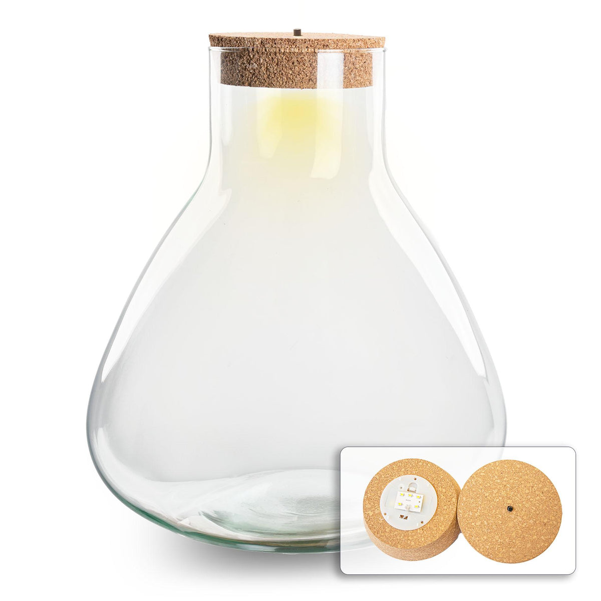 Terrarium fles met verlichting - Sam XL, plant in pot