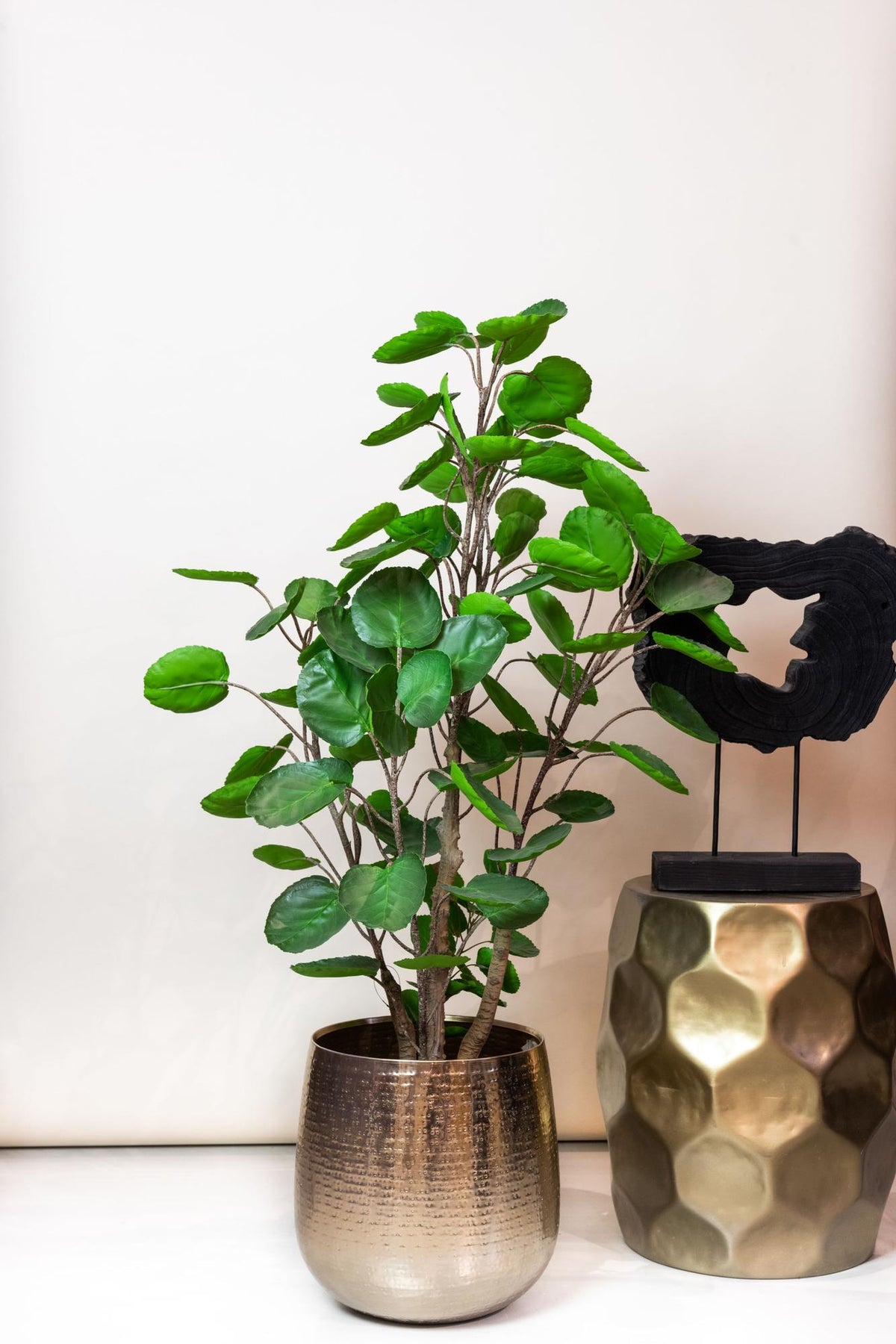 Productafbeelding van Pureplant