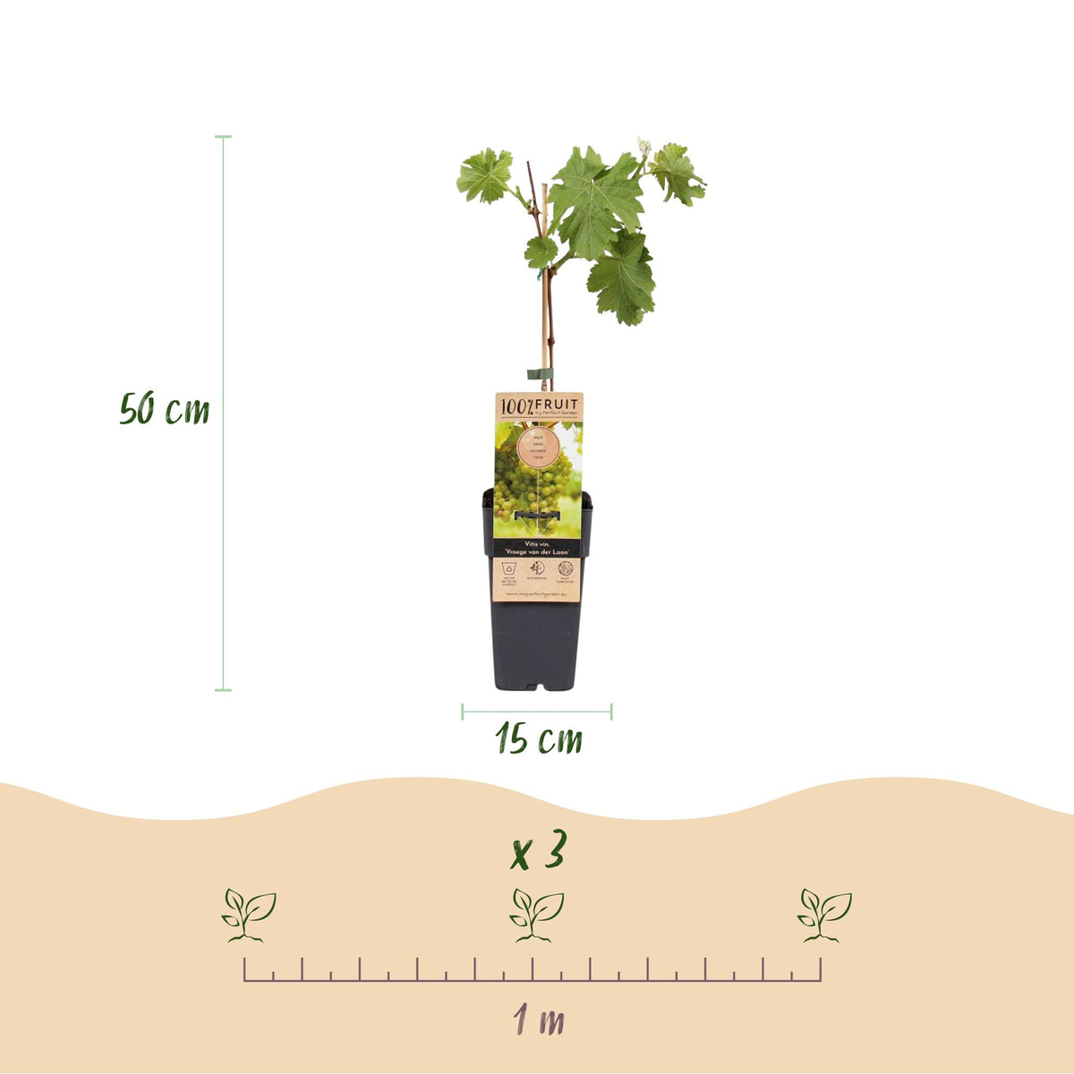 Productafbeelding van Pureplant