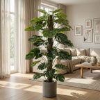 Monstera on pole, plant in pot