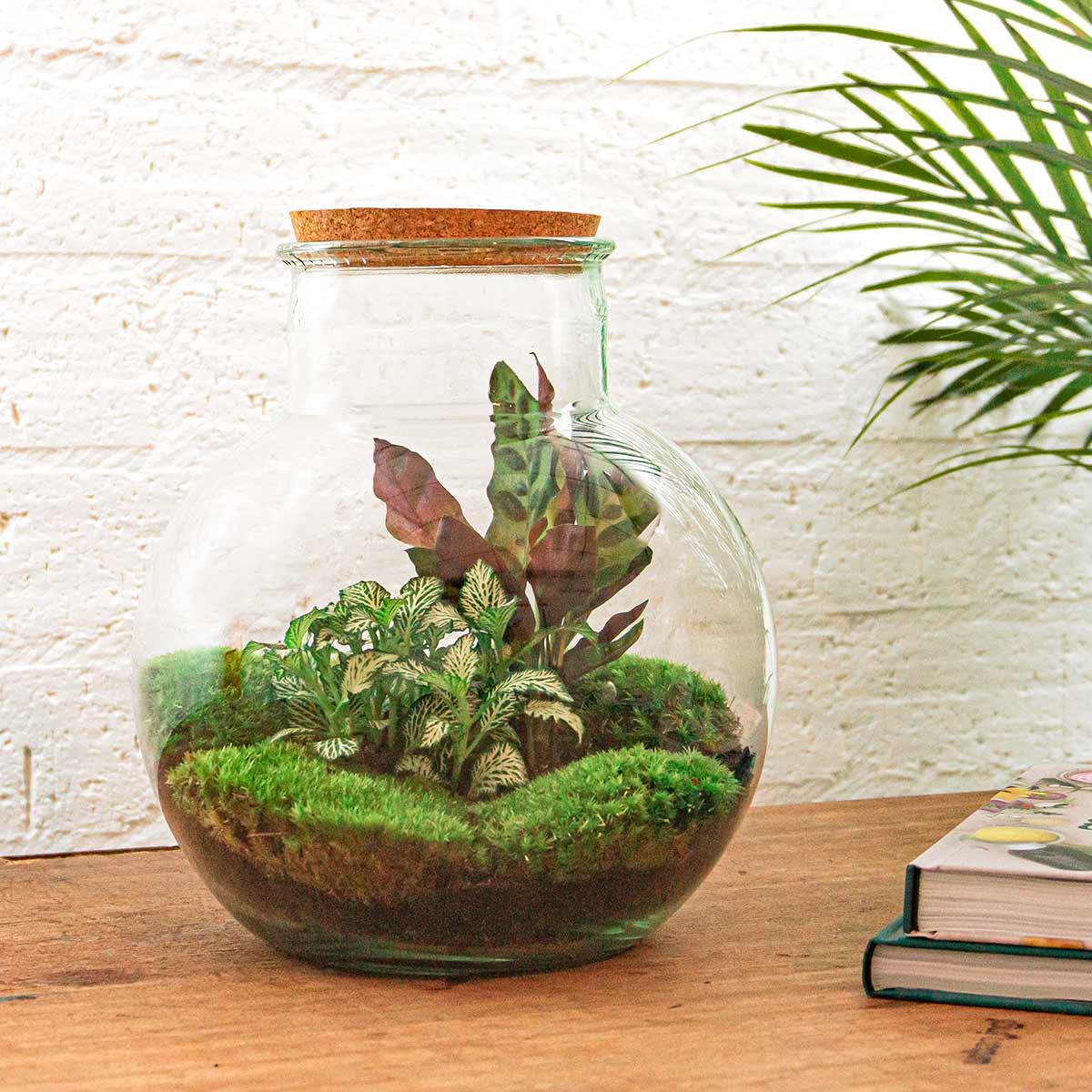 Productfoto van DIY terrarium Teddy met licht, hark en schep