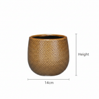 Pot Gabriel rond oker, groene bladeren