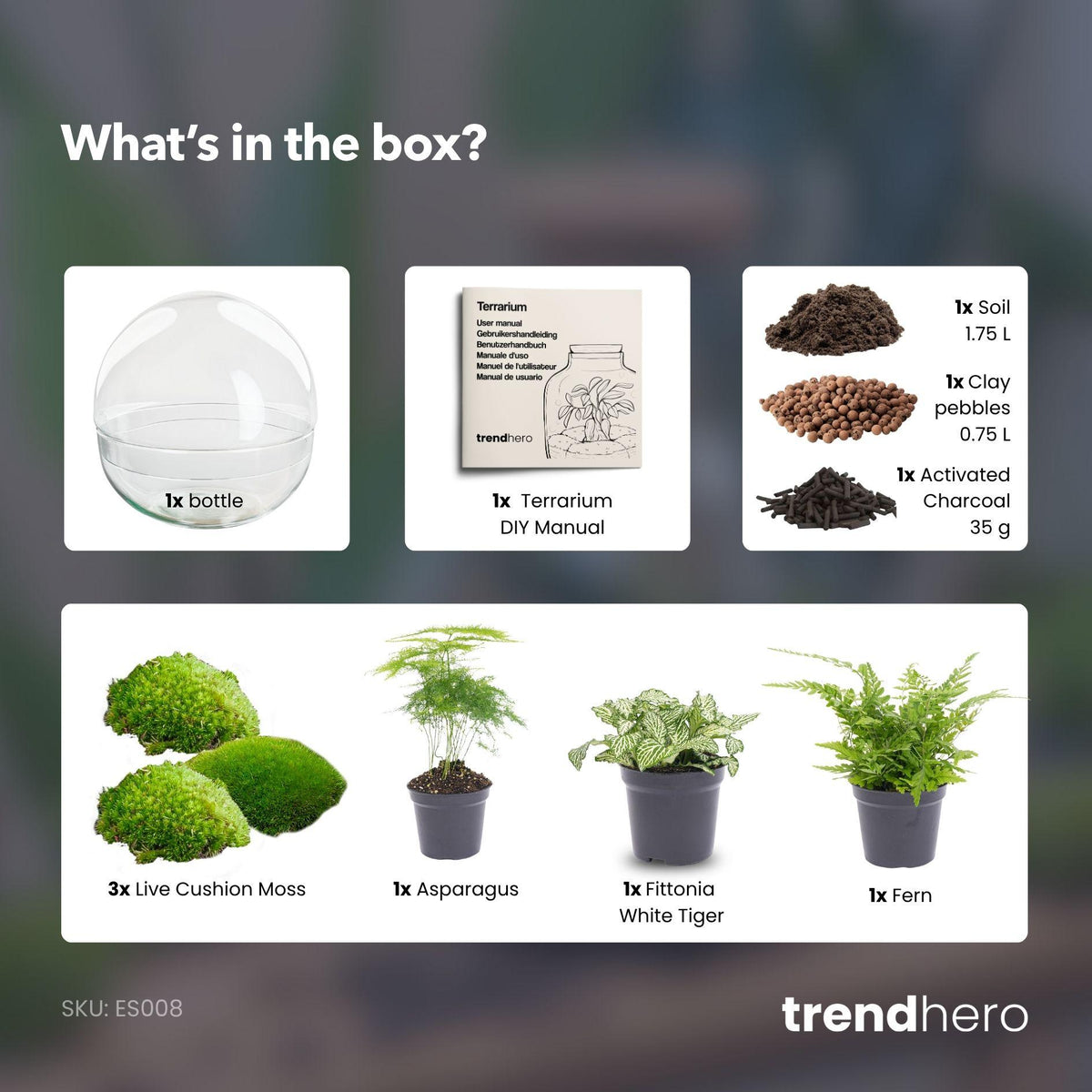 Detailfoto van DIY terrarium bolglas Dome XL, zonder gereedschap