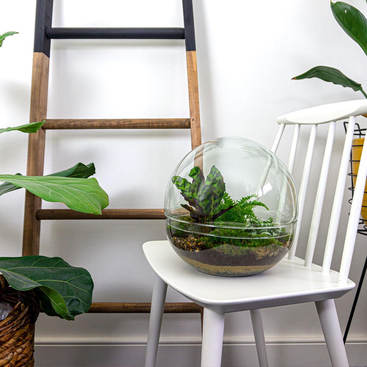 Detailfoto van DIY terrarium bolglas Dome XL, compleet gereedschap