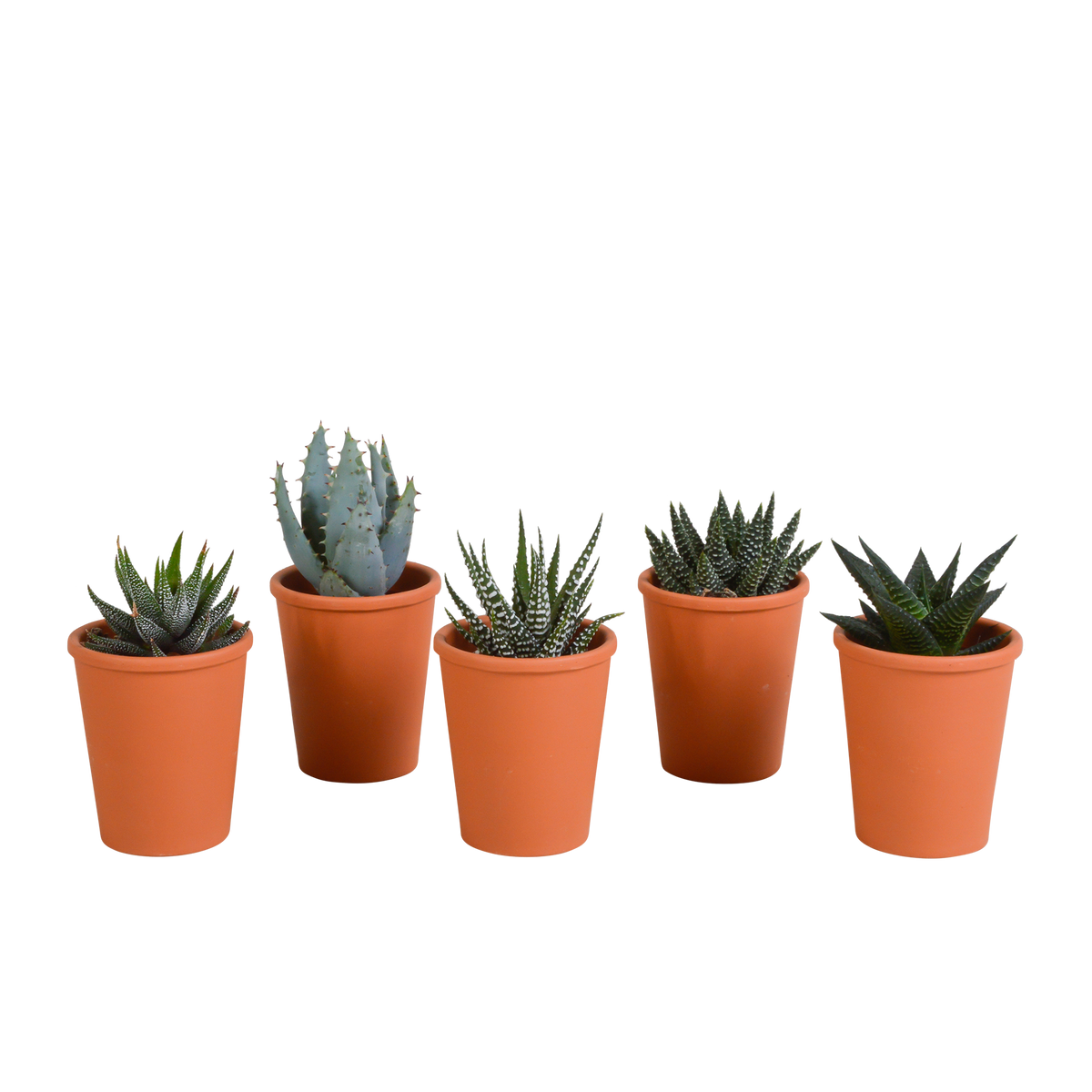 Productafbeelding van Pureplant