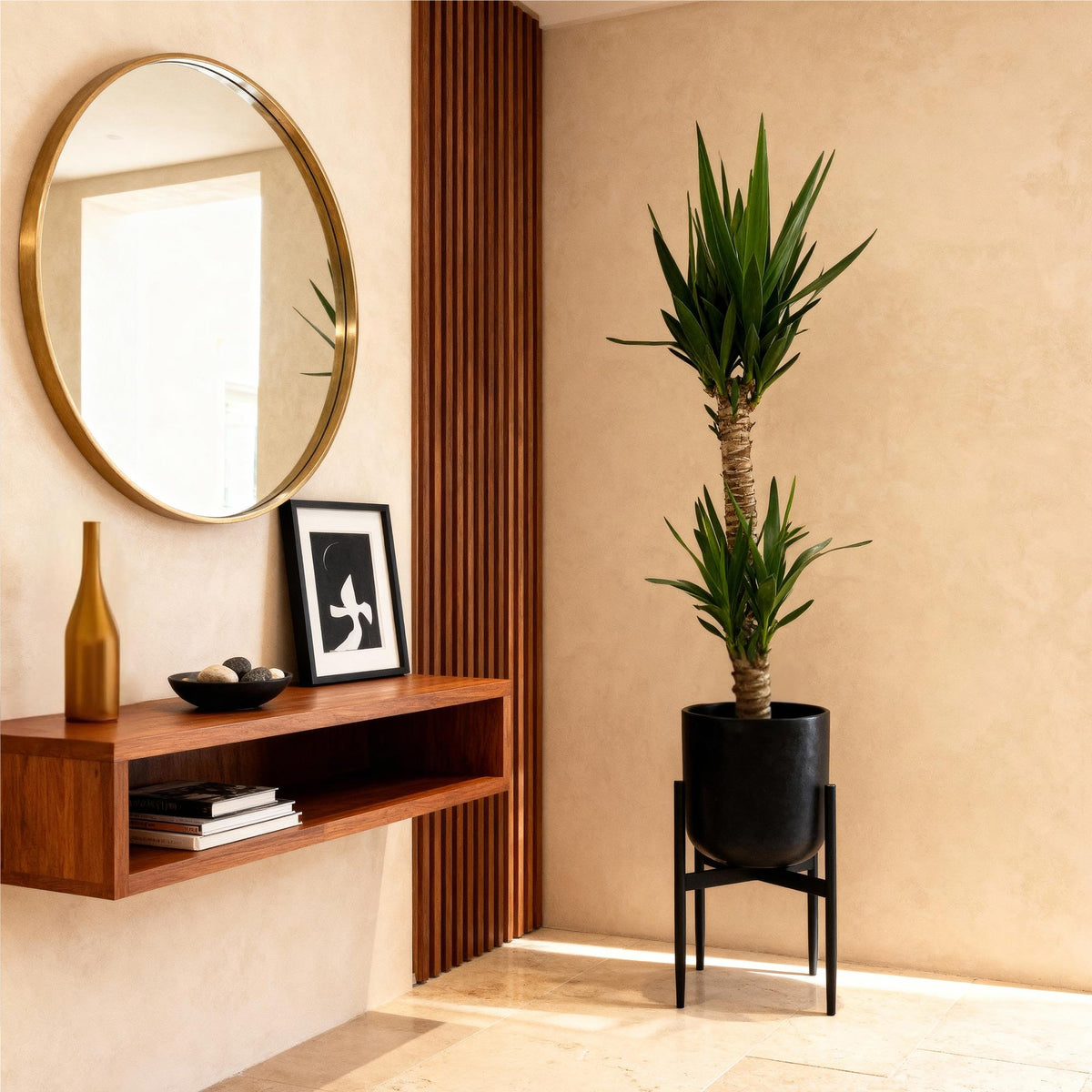 Yucca elephantipes, 95 cm hoog, groene bladeren