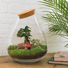 DIY Planten terrarium - Drop XL Bonsai 'red' - Met hark en schep