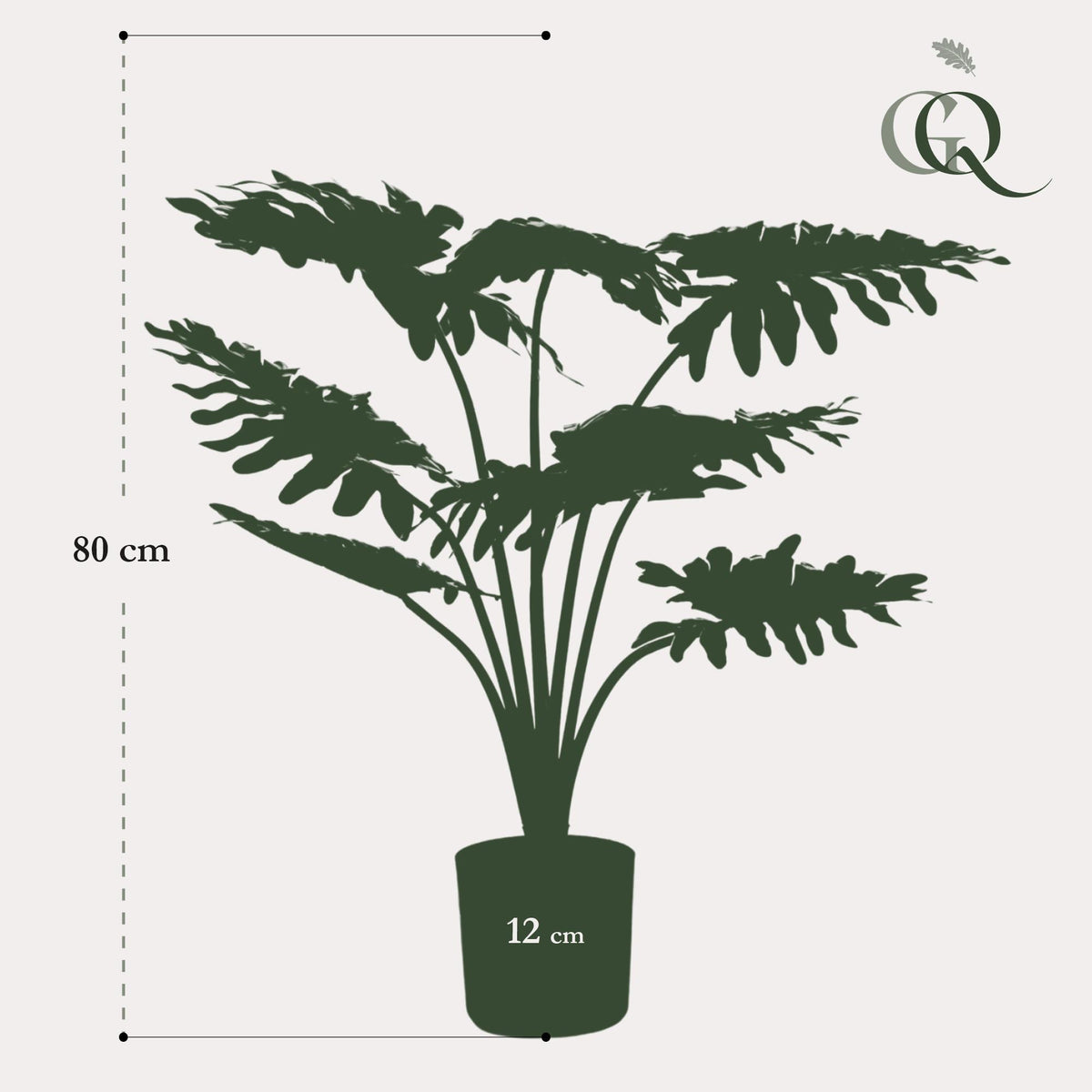 Productafbeelding van Pureplant