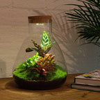 Productafbeelding van Pureplant