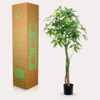 Productafbeelding van Pureplant