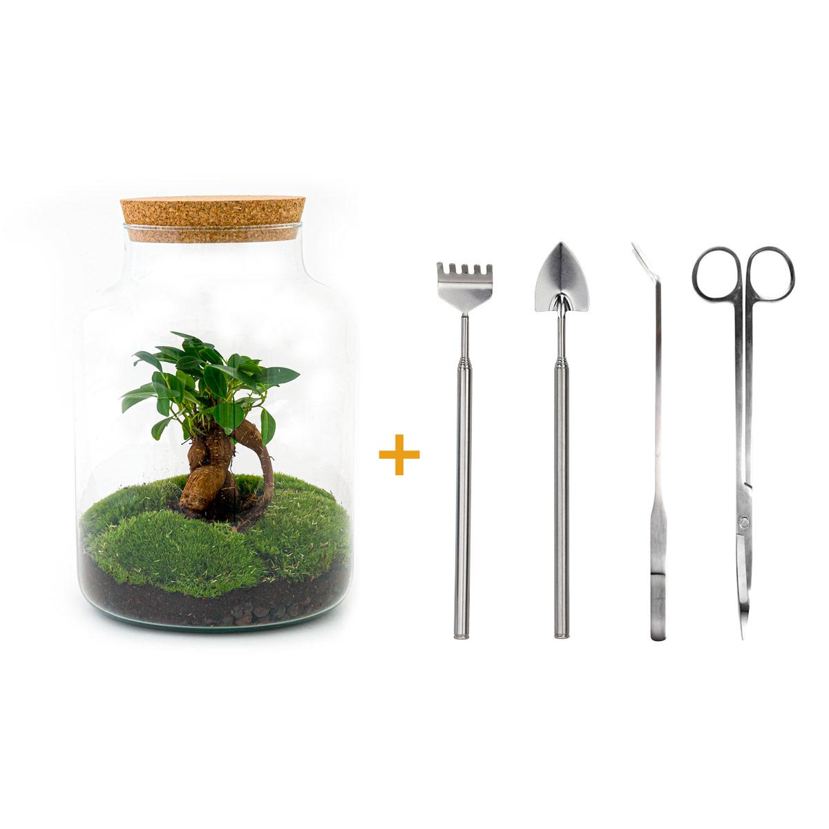 Detailfoto van DIY terrarium Milky Bonsai met licht, compleet gereedschap