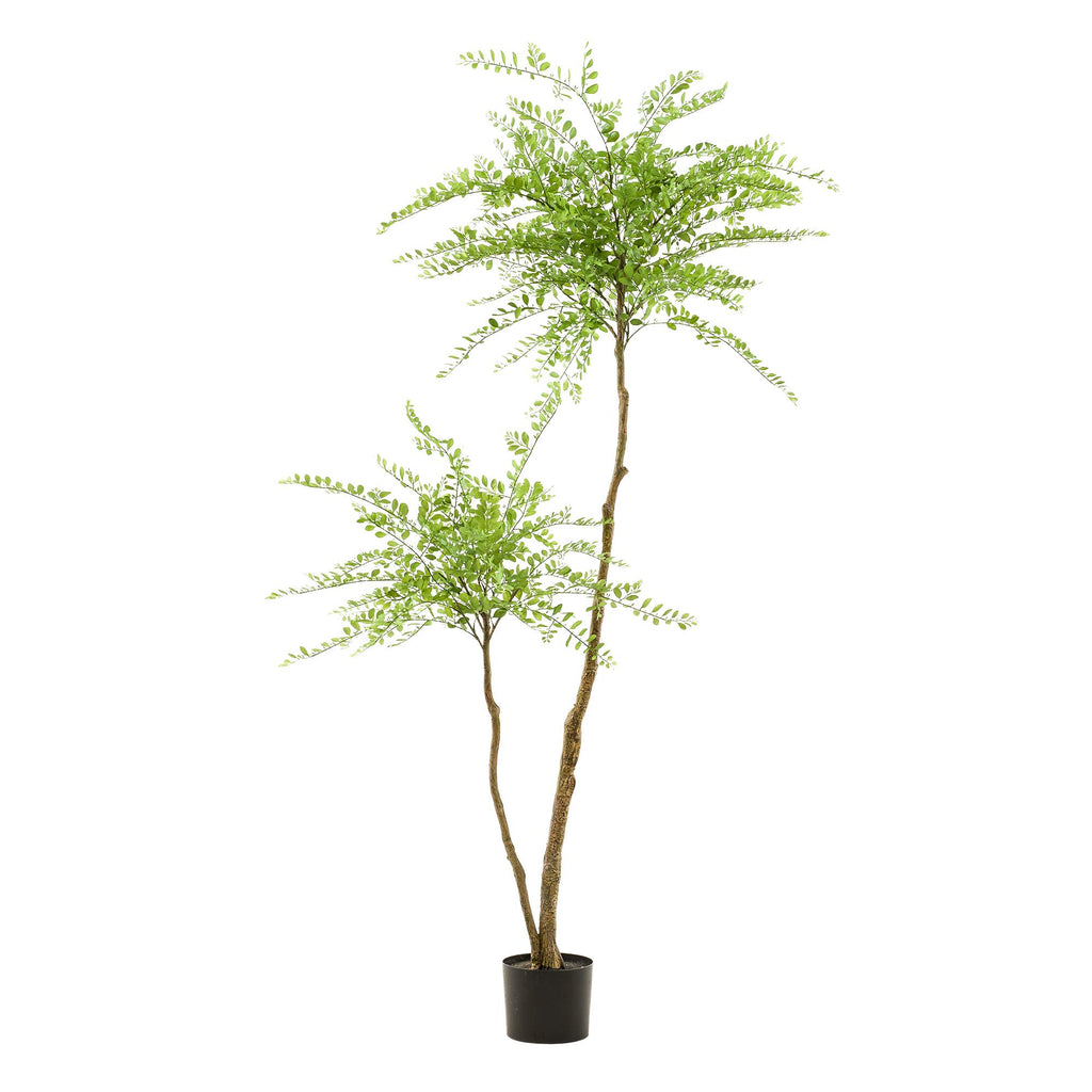 kunstplant - Sophora tree  - Honingboom, groeiwijze van de plant
