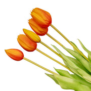 Tulpen boeket Oranje - 10 stuks - &