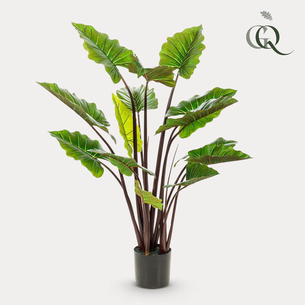Productafbeelding van Pureplant