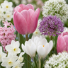 Roze bloembollen mix, Bulb Garden Pink