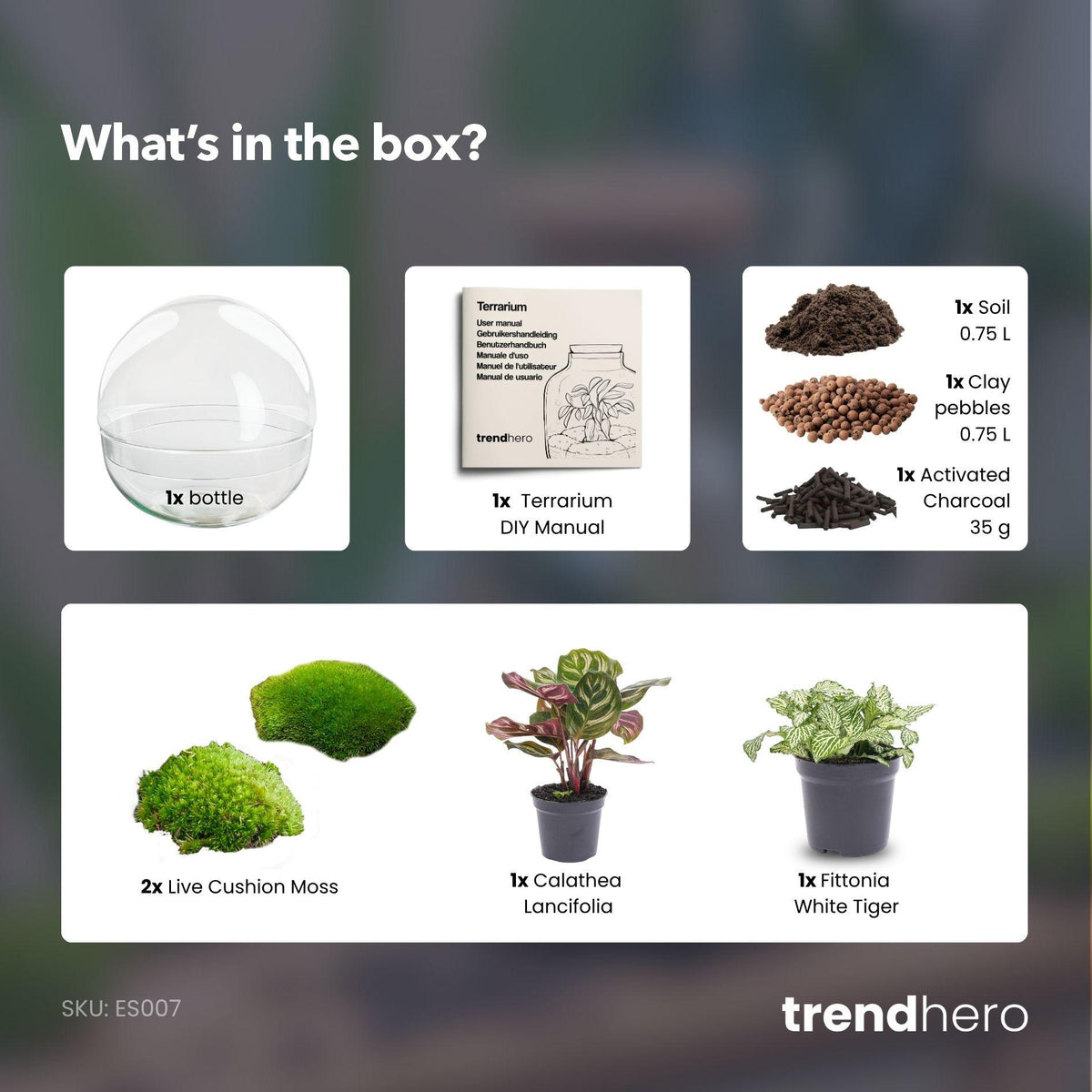 Detailfoto van DIY terrarium bolglas Dome, zonder gereedschap