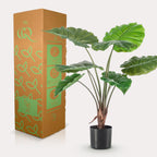 Kunstplant Alocasia, olifantsoor met pijlvormig blad, 70 cm, groeiwijze van de plant