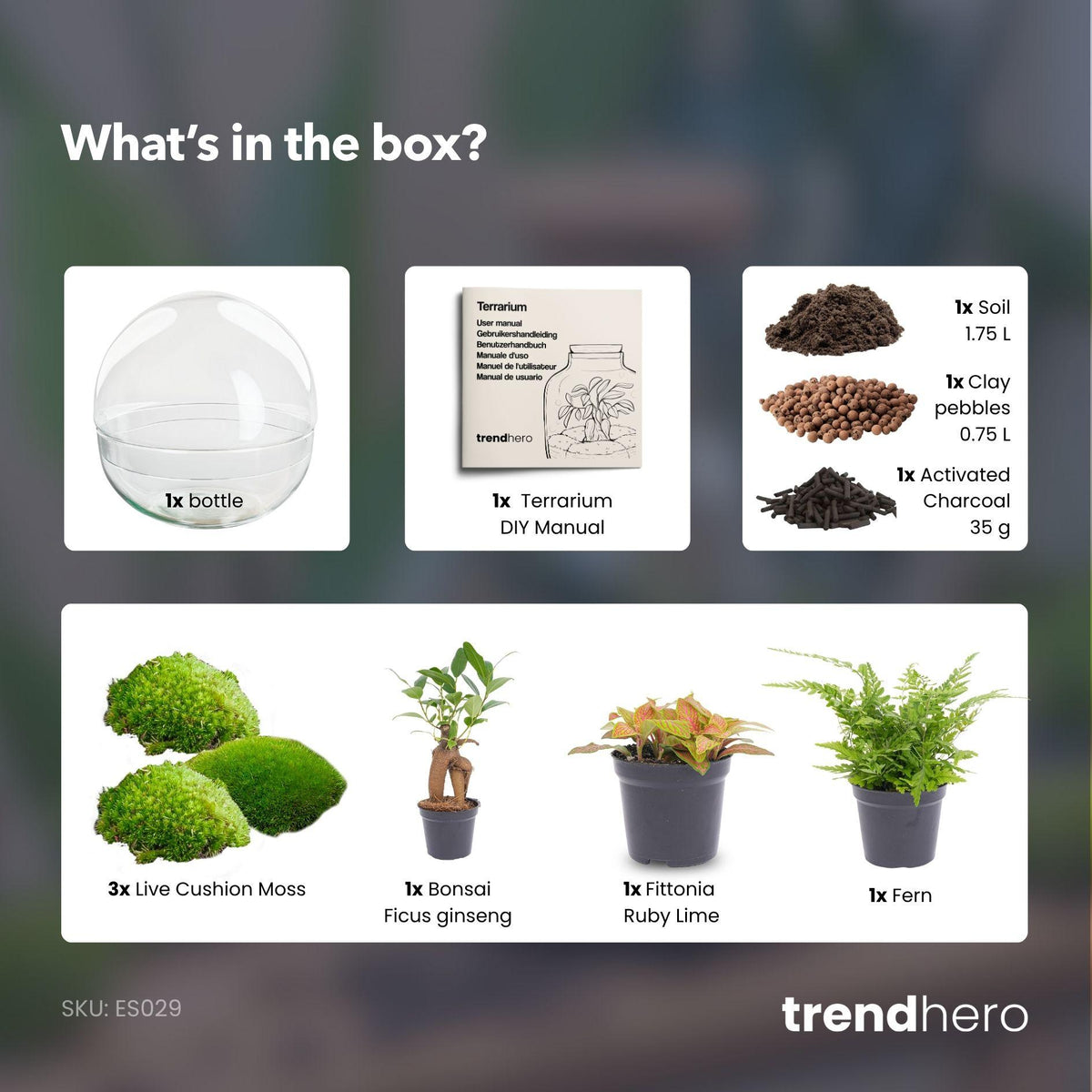 Detailfoto van DIY terrarium bolglas Dome XL Bonsai, zonder gereedschap
