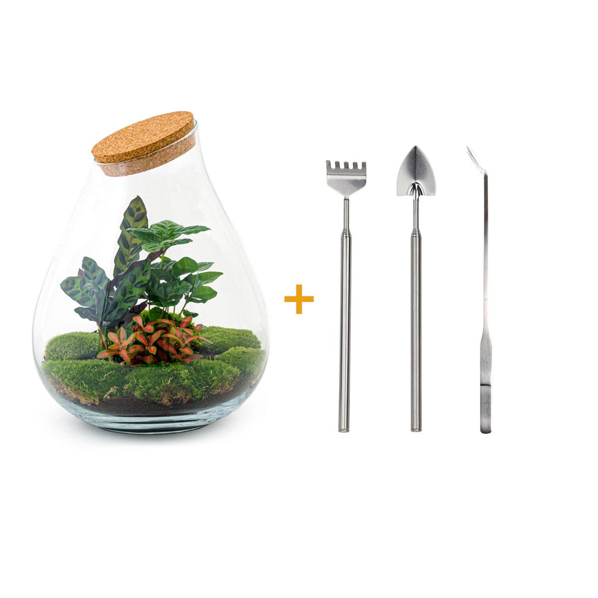 Productafbeelding van Pureplant