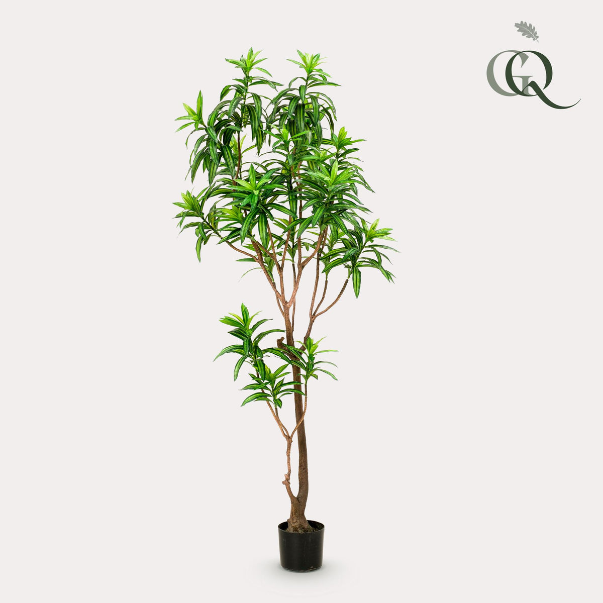 Productafbeelding van Pureplant