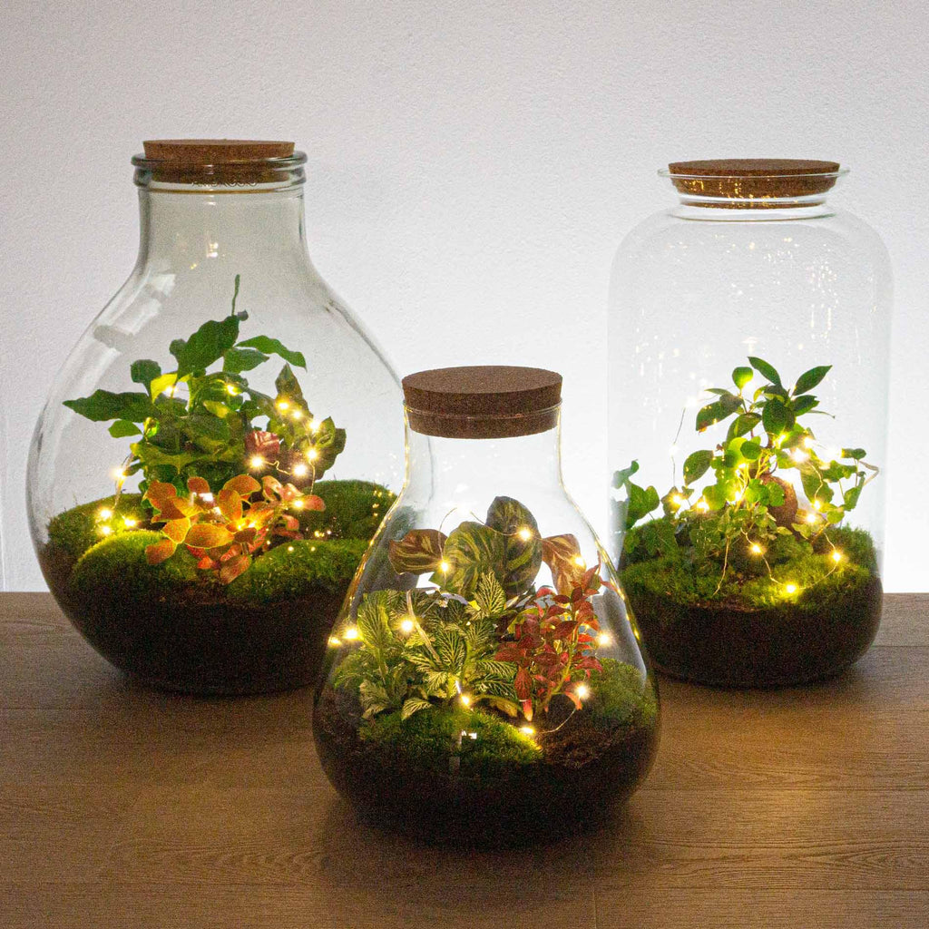 Kerstdraadverlichting op batterijen, warm wit, 20 leds, 1 m, kenmerkend blad