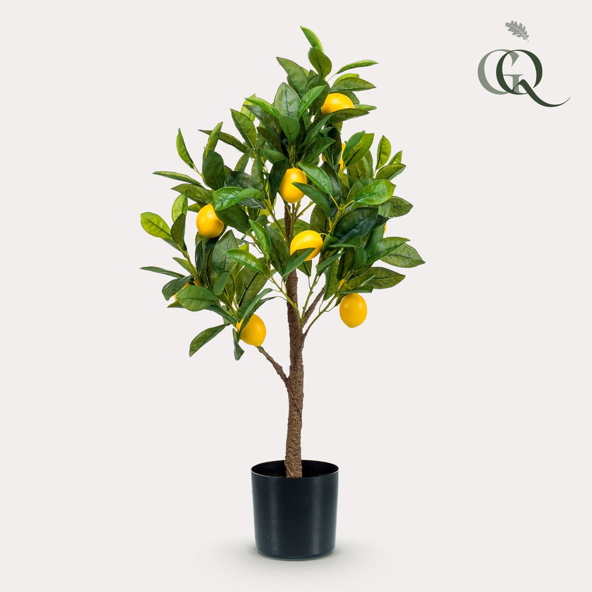 Productafbeelding van Pureplant