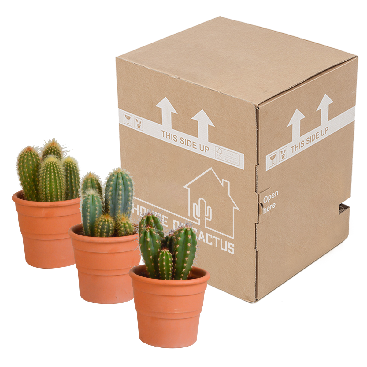 Productafbeelding van Pureplant