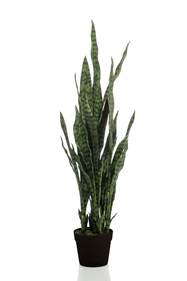 Kunstplant - Sanseveria black coral - Vrouwentong