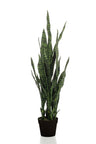 Kunstplant - Sanseveria black coral - Vrouwentong