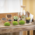 Productafbeelding van Pureplant