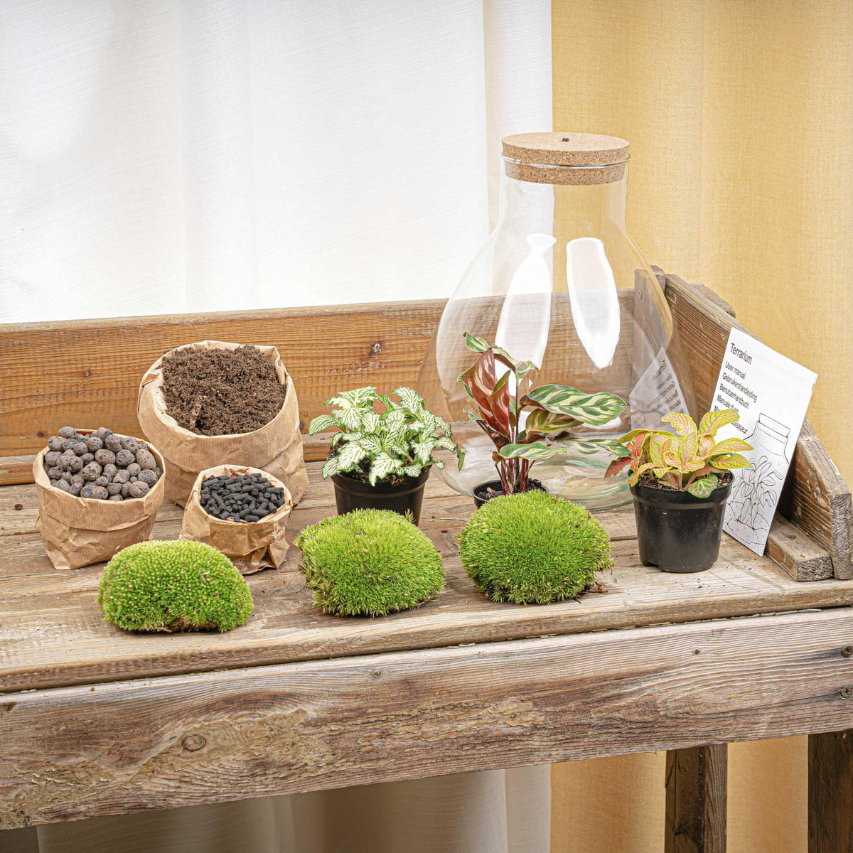 Productafbeelding van Pureplant