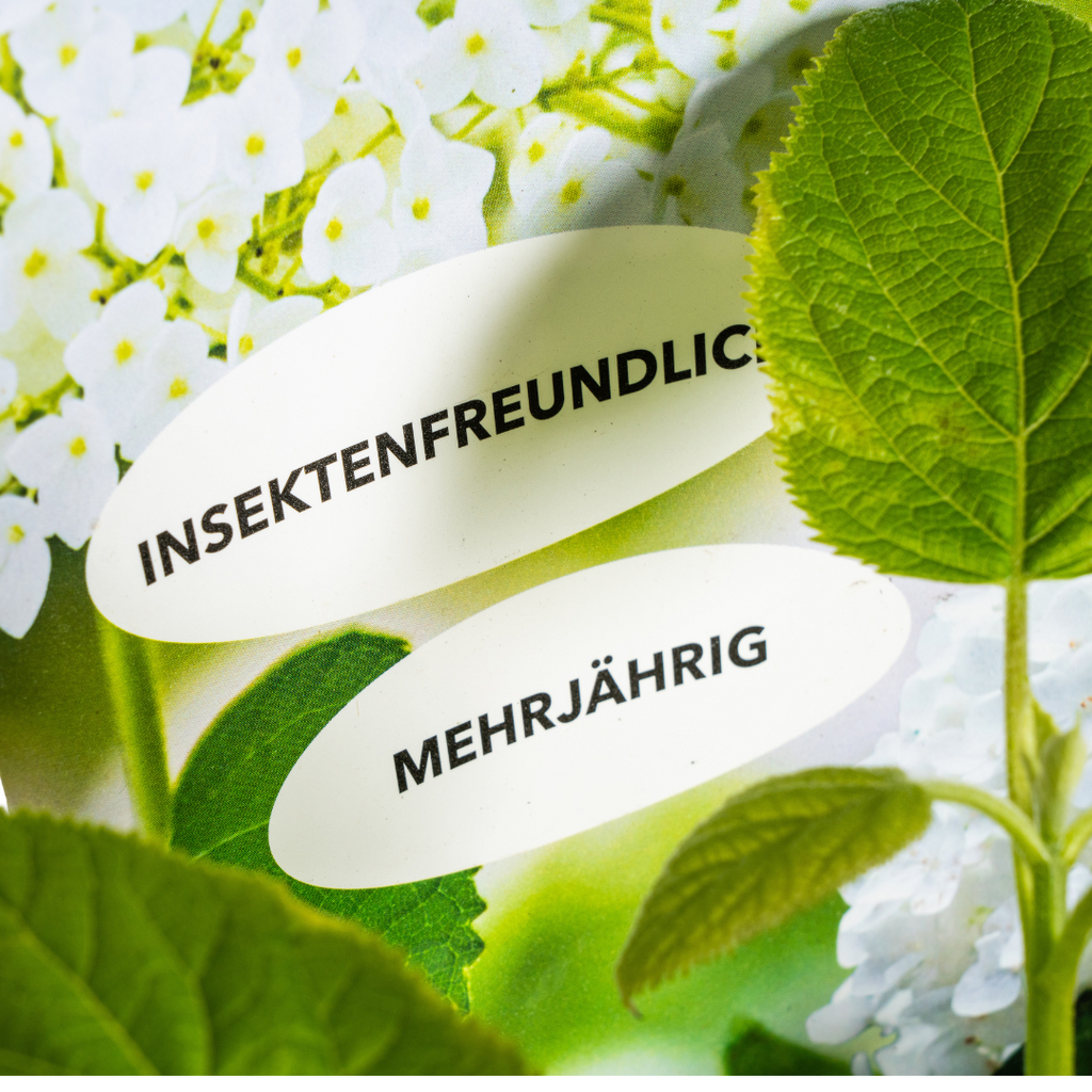 Productafbeelding van Pureplant