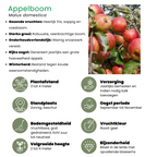 Biologische fruitbomen appel, peer, kers en pruim, set van 4, detail van het blad