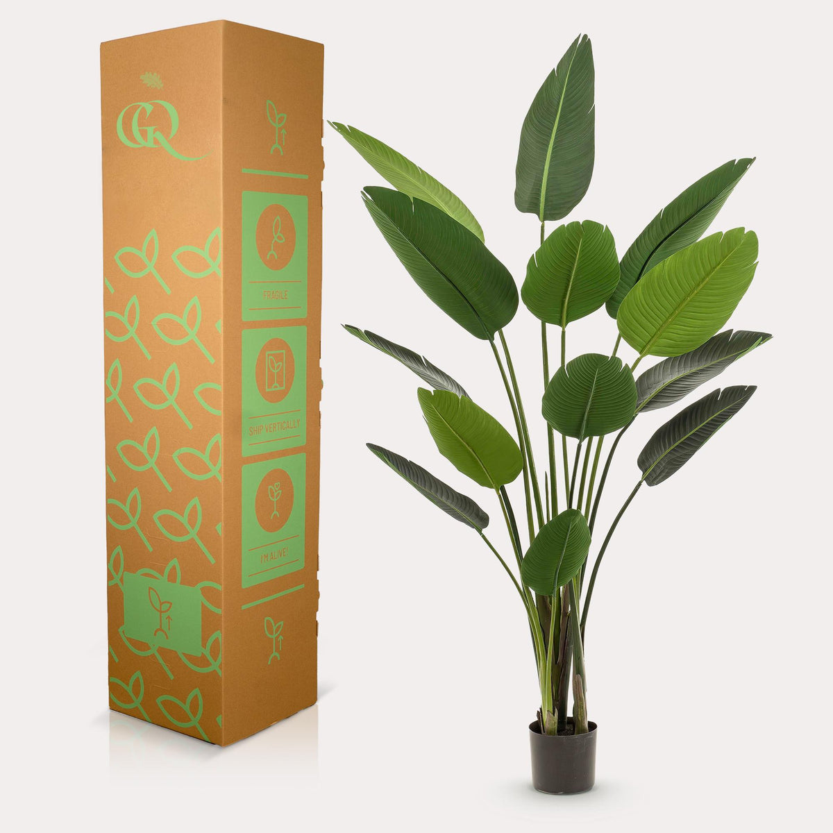 Productafbeelding van Pureplant