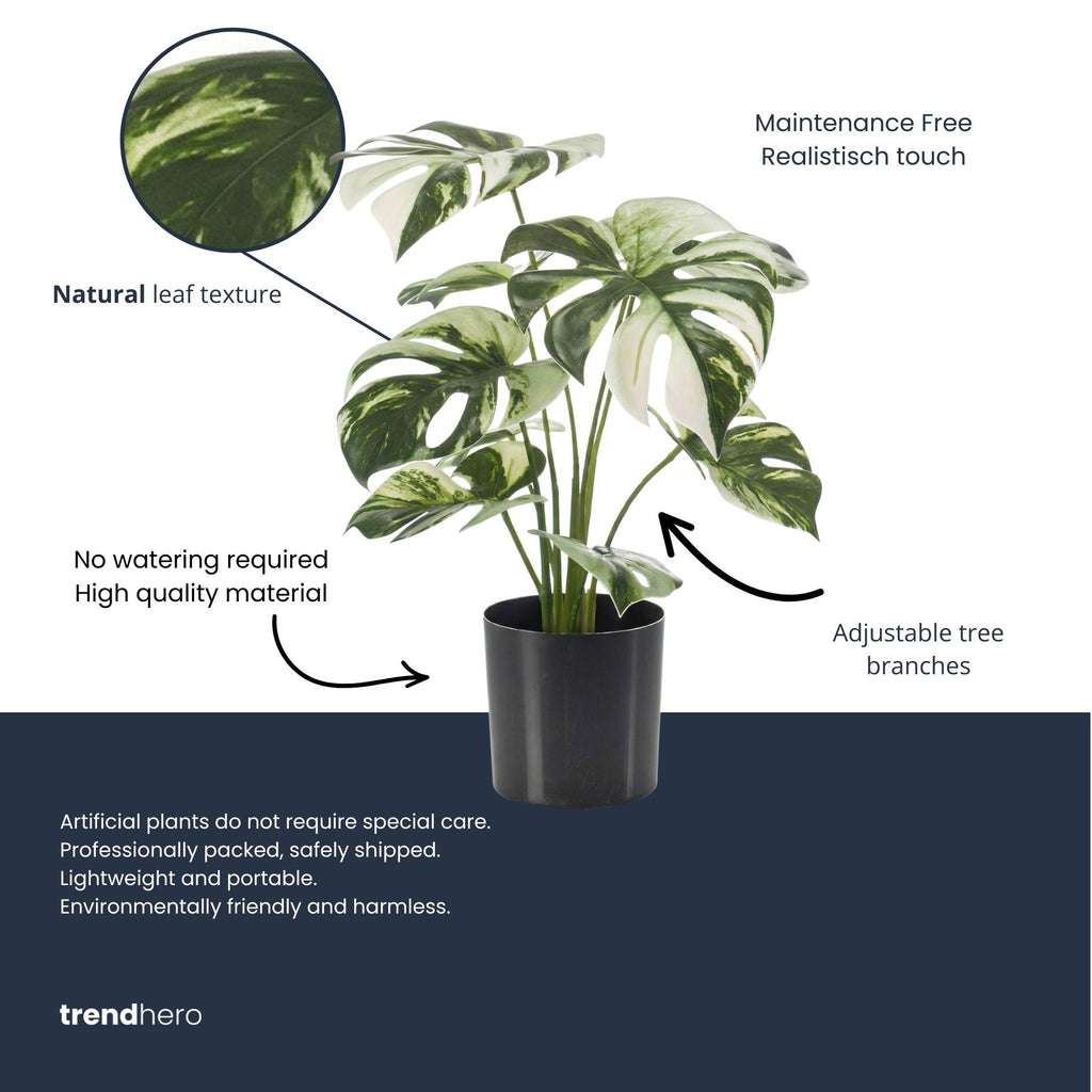 Monstera bush in pot, detail van het blad