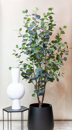 Productafbeelding van Pureplant