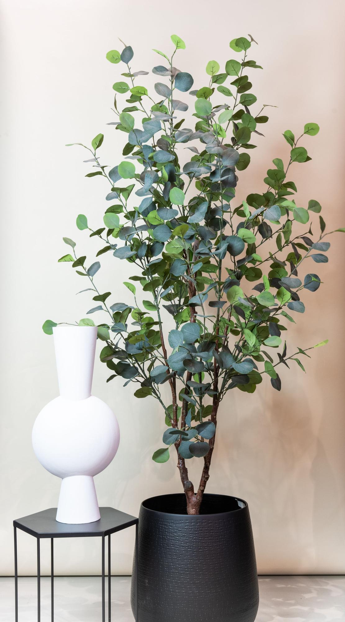 Productafbeelding van Pureplant