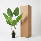 Kunstplant - Strelitzia Nicolai, gezonde plant