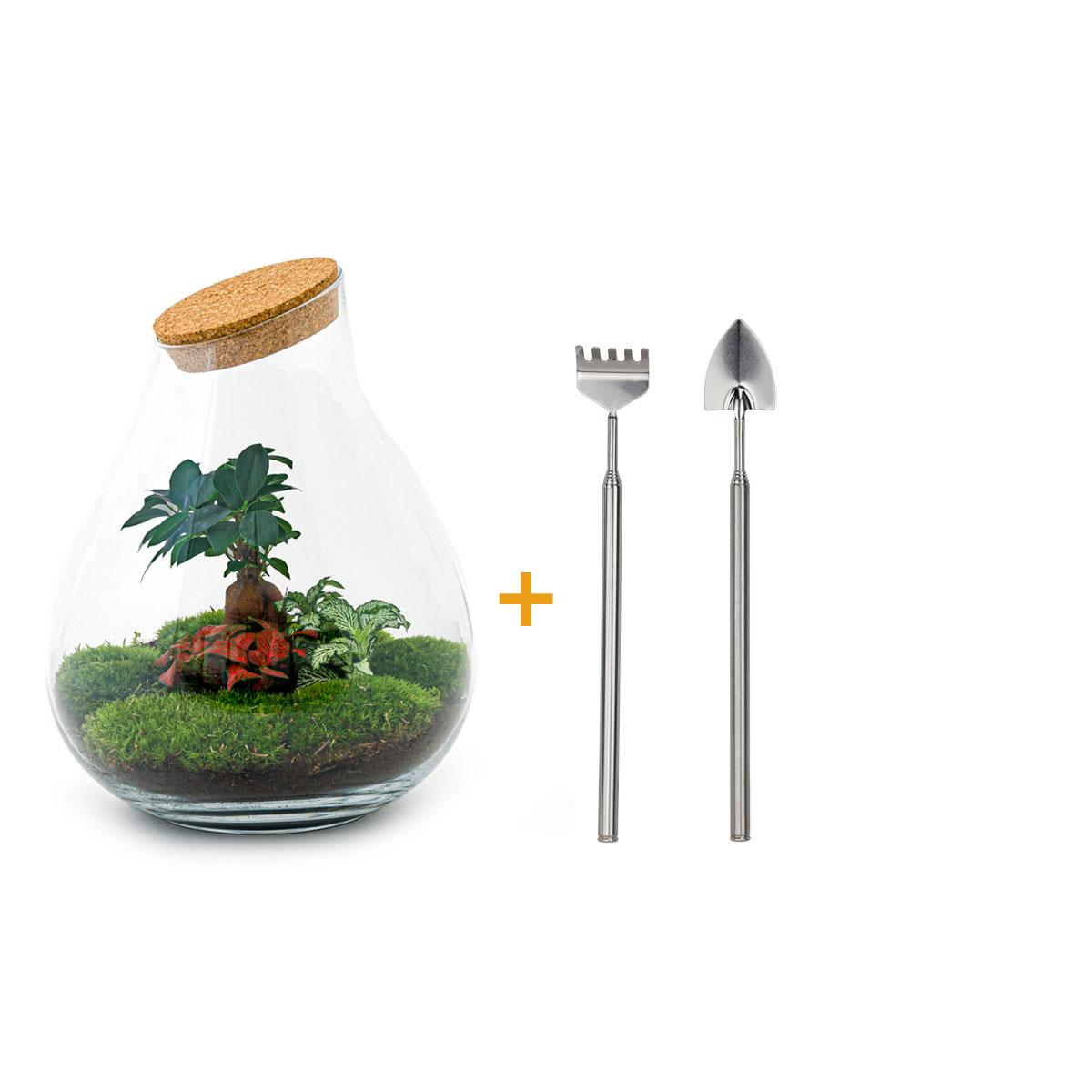 Detailfoto van DIY terrarium Drop XL Bonsai Red, hark en schep